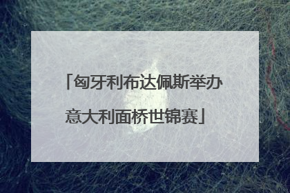 匈牙利布达佩斯举办意大利面桥世锦赛
