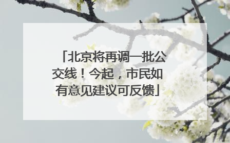 北京将再调一批公交线！今起，市民如有意见建议可反馈