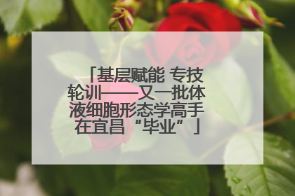 基层赋能 专技轮训——又一批体液细胞形态学高手在宜昌“毕业”