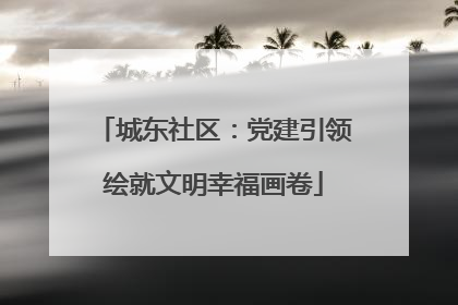 城东社区：党建引领绘就文明幸福画卷