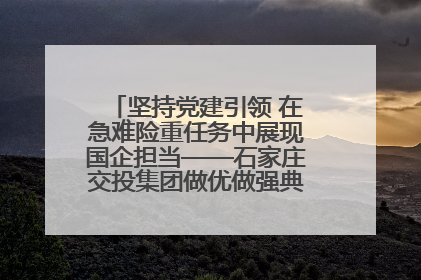 坚持党建引领 在急难险重任务中展现国企担当——石家庄交投集团做优做强典型报道之一