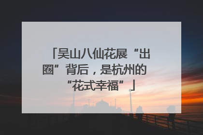 吴山八仙花展“出圈”背后，是杭州的“花式幸福”