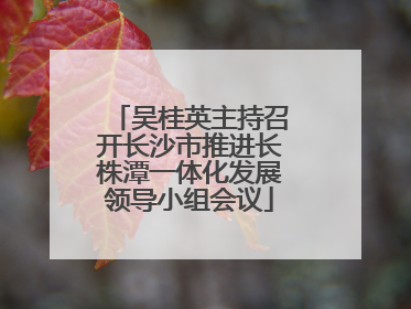 吴桂英主持召开长沙市推进长株潭一体化发展领导小组会议