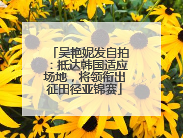 吴艳妮发自拍：抵达韩国适应场地，将领衔出征田径亚锦赛