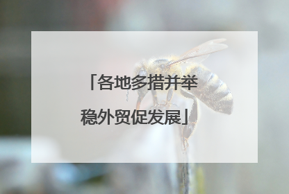 各地多措并举稳外贸促发展
