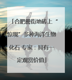 合肥罍街地砖上“惊现”多种海洋生物化石 专家：具有一定观赏价值