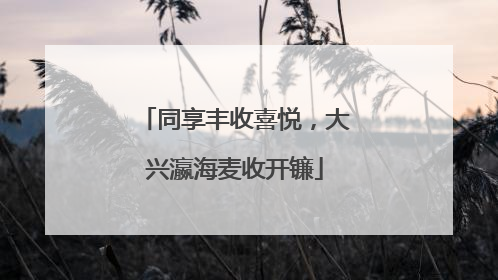 同享丰收喜悦，大兴瀛海麦收开镰
