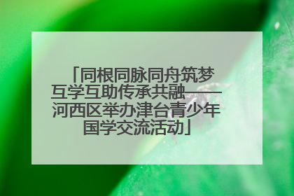 同根同脉同舟筑梦 互学互助传承共融——河西区举办津台青少年国学交流活动