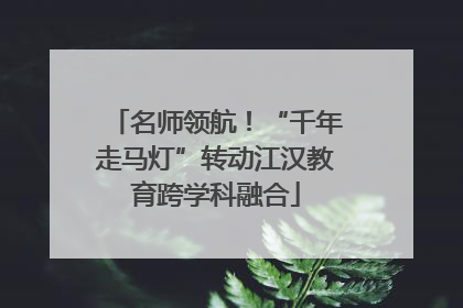 名师领航！“千年走马灯”转动江汉教育跨学科融合