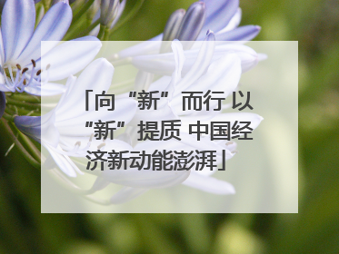 向“新”而行 以“新”提质 中国经济新动能澎湃