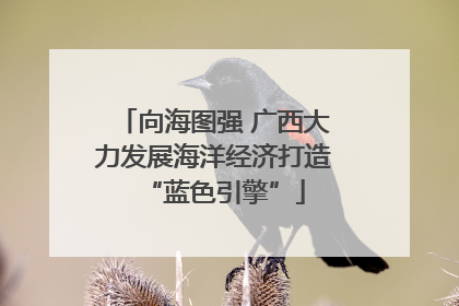 向海图强 广西大力发展海洋经济打造“蓝色引擎”