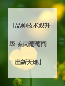 品种技术双升级 秦岗葡萄闯出新天地