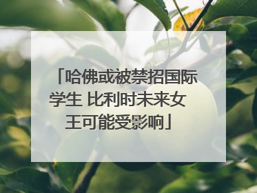 哈佛或被禁招国际学生 比利时未来女王可能受影响
