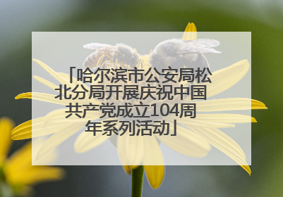 哈尔滨市公安局松北分局开展庆祝中国共产党成立104周年系列活动