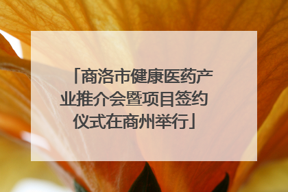 商洛市健康医药产业推介会暨项目签约仪式在商州举行