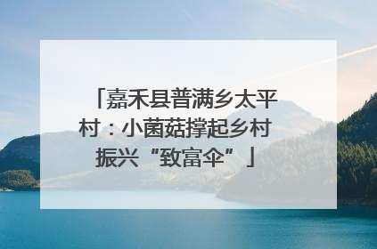 嘉禾县普满乡太平村：小菌菇撑起乡村振兴“致富伞”