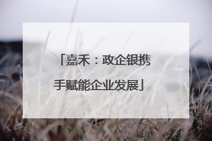 嘉禾：政企银携手赋能企业发展