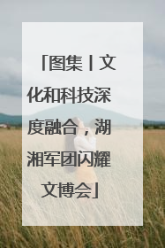 图集丨文化和科技深度融合，湖湘军团闪耀文博会