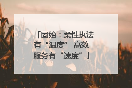 固始：柔性执法有“温度” 高效服务有“速度”
