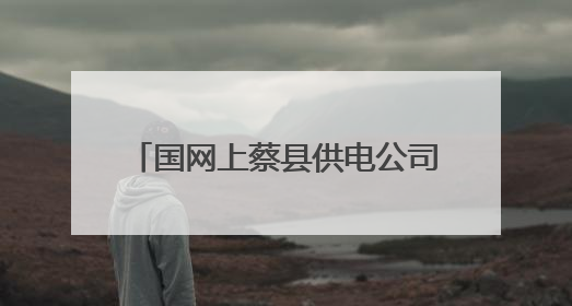国网上蔡县供电公司：供电服务在身边 安全咨询“零距离”