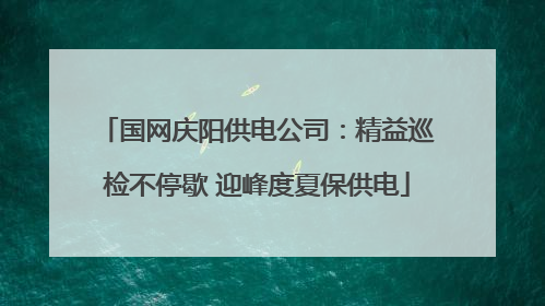 国网庆阳供电公司：精益巡检不停歇 迎峰度夏保供电