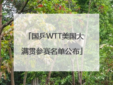 国乒WTT美国大满贯参赛名单公布