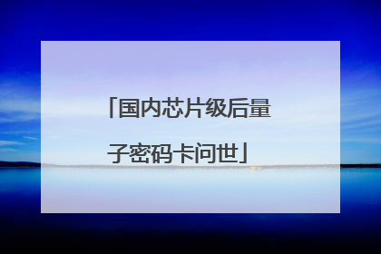 国内芯片级后量子密码卡问世