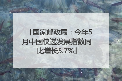国家邮政局：今年5月中国快递发展指数同比增长5.7%