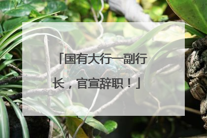 国有大行一副行长，官宣辞职！