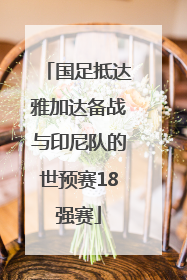国足抵达雅加达备战与印尼队的世预赛18强赛