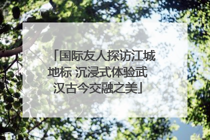 国际友人探访江城地标 沉浸式体验武汉古今交融之美