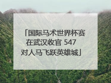 国际马术世界杯赛在武汉收官 547对人马飞跃英雄城