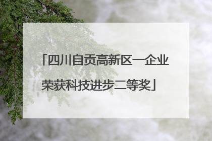 四川自贡高新区一企业荣获科技进步二等奖