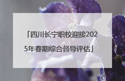 四川长宁职校迎接2025年春期综合督导评估