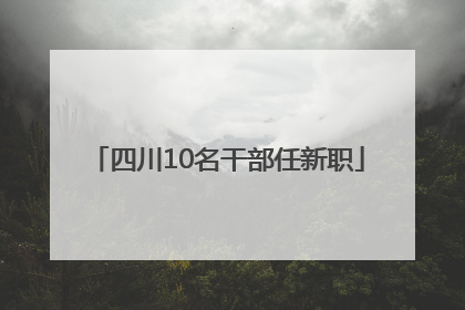 四川10名干部任新职