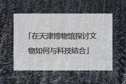 在天津博物馆探讨文物如何与科技结合
