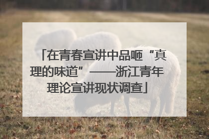在青春宣讲中品咂“真理的味道”——浙江青年理论宣讲现状调查