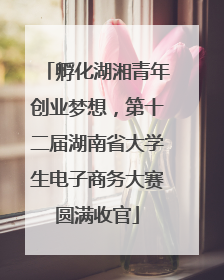 孵化湖湘青年创业梦想，第十二届湖南省大学生电子商务大赛圆满收官