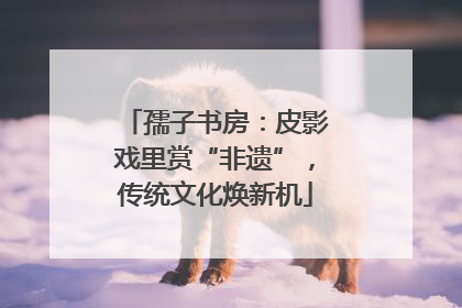 孺子书房：皮影戏里赏“非遗”，传统文化焕新机