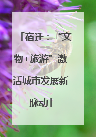 宿迁：“文物+旅游”激活城市发展新脉动