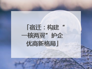 宿迁：构建“一核两翼”护企优商新格局