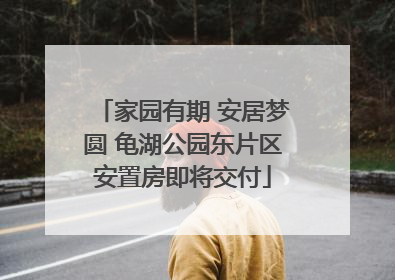 家园有期 安居梦圆 龟湖公园东片区安置房即将交付