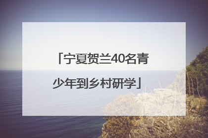 宁夏贺兰40名青少年到乡村研学