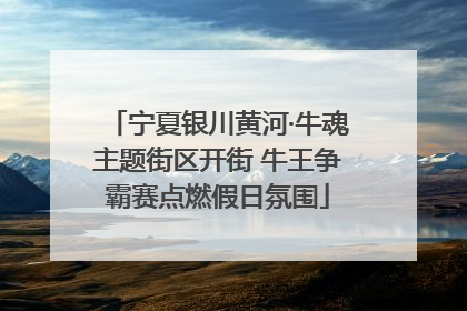 宁夏银川黄河·牛魂主题街区开街 牛王争霸赛点燃假日氛围