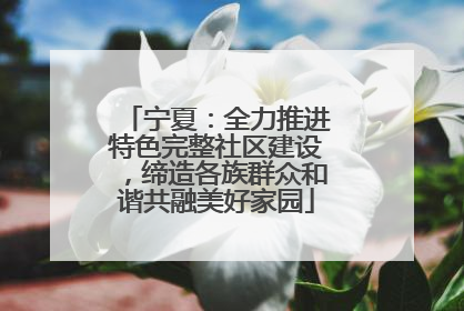 宁夏：全力推进特色完整社区建设，缔造各族群众和谐共融美好家园