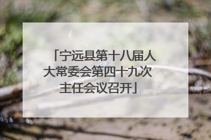 宁远县第十八届人大常委会第四十九次主任会议召开