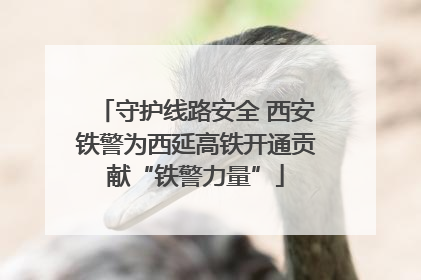 守护线路安全 西安铁警为西延高铁开通贡献“铁警力量”
