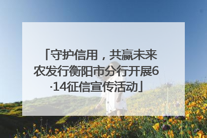 守护信用，共赢未来 农发行衡阳市分行开展6·14征信宣传活动