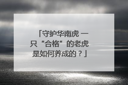 守护华南虎 一只“合格”的老虎是如何养成的？