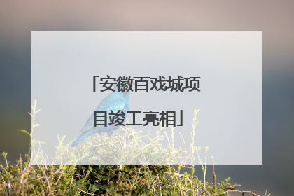 安徽百戏城项目竣工亮相